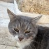 Profilbild von büşü