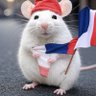 Profilbild von @UneSimpleSouris🇫🇷