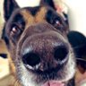 Profilbild von River