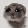 Profilbild von シロネ