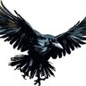 Profilbild von Corvin Ash