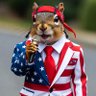 SquirrelTurd 的头像