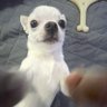 Bruno's profile picture
