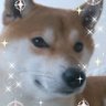 Profilbild von 泰規(ナナキ)