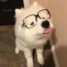 Фото профиля กอกอ ⊂⁠(⁠◉⁠‿⁠◉⁠)⁠つ
