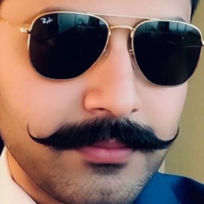 schahmehmud's profile picture