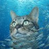666 profil fotoğrafı
