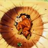 YAMCHA EN PLS 的头像