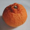 pripan profil fotoğrafı