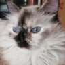 Profilbild von Elly
