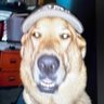 lazarbeammmm profil fotoğrafı