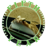 Profilbild von k