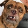 Darsco's profile picture