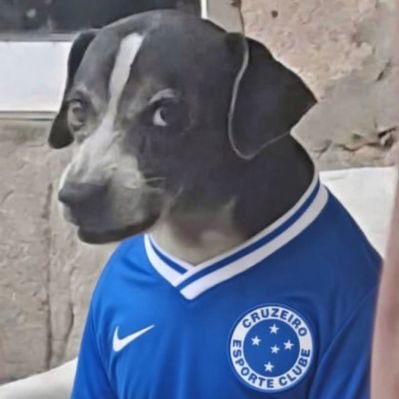 Benny the Dog's profile picture