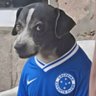 Фото профиля Benny the Dog
