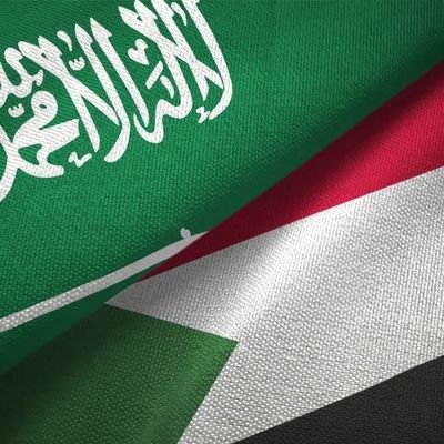 سوداني 24 🇸🇩's profile picture
