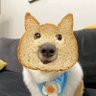 Jerry Short profil fotoğrafı