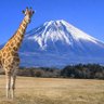 UNI🦒's profile picture
