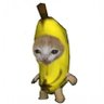 Фото профиля CatBoyee 🍌😼