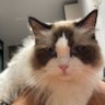 turbo en profil fotoğrafı