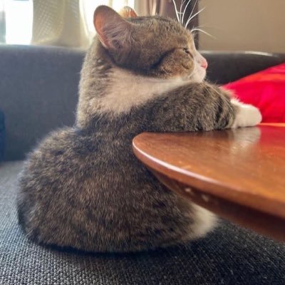 xichen10954170's profile picture