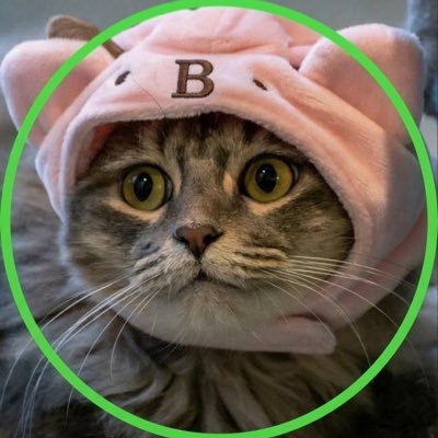 B's profile picture