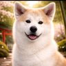 たかゆき55 的头像