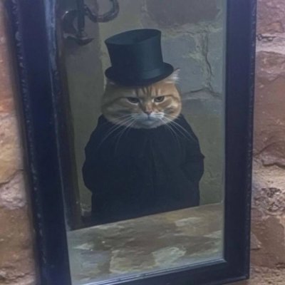 911's profile picture