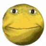 Profilbild von Antoine Poisson
