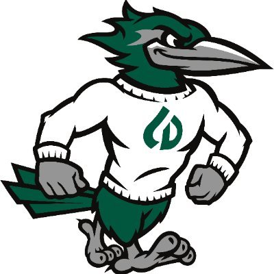 Dupage_Football's profile picture