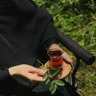 ابتهاج 🌱 . 的头像