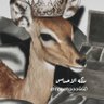 ملكة الاحساس 的头像