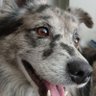 Profilbild von Kimbo