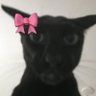 og profil fotoğrafı