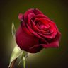 Фото профиля Shaw_kt