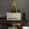 Ozovehe profil fotoğrafı