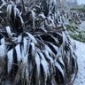 Profilbild von Winter
