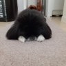 Фото профиля 理恵田中