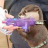 Profilbild von Jez