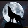 Фото профиля TheWolfHowl