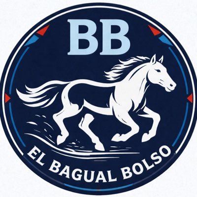 El Bagual bolso's profile picture