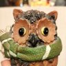 СОВА, НУ ТВОЮ Ж НАЛЕВО 🦉's profile picture