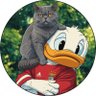 pata roliça na betolândia 🪿🐾 profil fotoğrafı