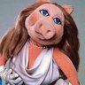 piggy's profile picture