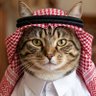 Фото профиля جوكر