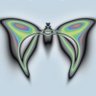 Profilbild von Agily009