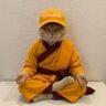 DKyou's profile picture