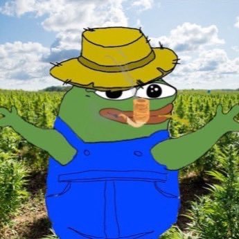HODLsolana's profile picture