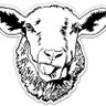 Mister Sheep 🇲🇽 的头像