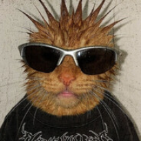 dallao_porra's profile picture